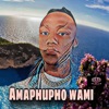 Amaphupho Wami