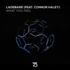 What You Feel (feat. Connor Haley) - Single