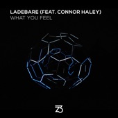 Ladebare, Connor Hayley - What You Feel - Extended Mix