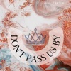 Don't Pass Us By - Single