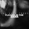 Flicker In the Dark - Single