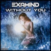 Without You - Single