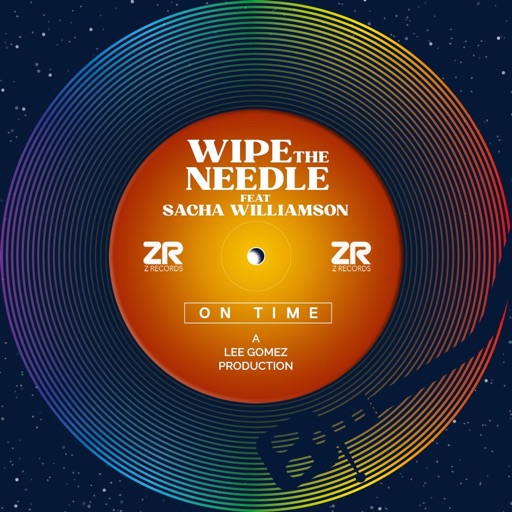 On Time (feat. Sacha Williamson) - Single by Wipe the Needle