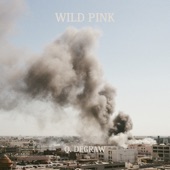 Wild Pink - Q. Degraw