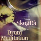 Drum Meditation (Live) artwork