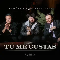 Tú Me Gustas - Single by Río Roma & Carin Leon album reviews, ratings, credits