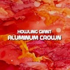Aluminum Crown - Single