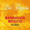 Die rote Sonne von Barbados (Remix 1997) - Die Flippers