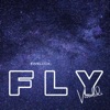 Fly Vivaldi - Single