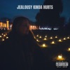 Jealousy Kinda Hurts - Single