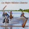 La Mejor Música Llanera Vol.1