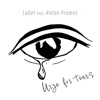 Urge For Tears (feat. Anton Premec) - Single