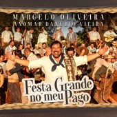 Festa Grande no Meu Pago artwork