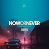 Now Or Never - Single