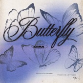 Butterfly artwork