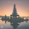 Positivity - Single