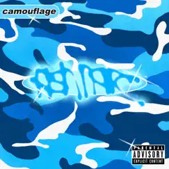 Camouflage by Fish narc album reviews, ratings, credits