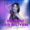 Biliyem Yar Biliyem - Single