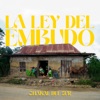 La Ley Del Embudo - Single