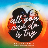 Black-Am-I - All You Can Do Is Try