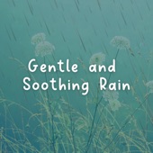 Gentle and Soothing Rain artwork