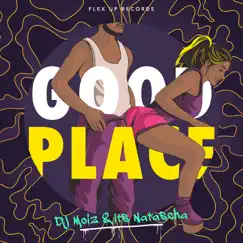 Good Place - Single by DJ Moiz & Its Natascha album reviews, ratings, credits