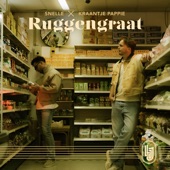 Ruggengraat artwork