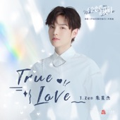 True Love (Ending Song from Network Drama "Why Women Love") artwork