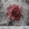 Roser på graven artwork