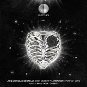 Perfect Love (Dabeat Remix) artwork