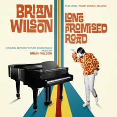 Right Where I Belong (Single from "Brian Wilson: Long Promised Road Soundtrack") - Single
