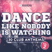 Dance Like Nobody Is Watching: 30 Club Anthems, Vol. 2 artwork