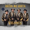 Usted Me Gusta - Single