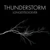 Thunderstorm (Friday Night Funkin' Vs. Shaggy) (Metal Version) [Metal Version] - Single album lyrics, reviews, download