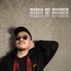 Makes Me Wonder - Single