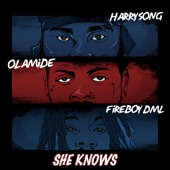She Knows (feat. Fireboy DML & Olamide) artwork