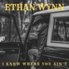 I Know Where You Ain't - Single
