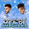 Capacitatea mea de șmecherie - Single