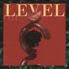 Level (feat. BIG Naughty) - Single album lyrics, reviews, download