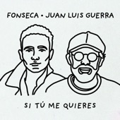 Si Tú Me Quieres artwork