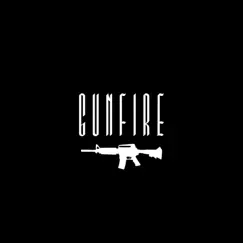 Gunfire - Single by HAMG 002 album reviews, ratings, credits
