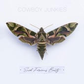 Cowboy Junkies - What I Lost