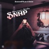 Snap - Single