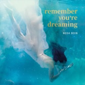 Remember You're Dreaming (feat. Mike Love) artwork