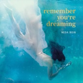 Remember You're Dreaming artwork