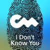 I Don't Know You - Single