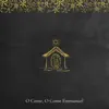 O Come, O Come Emmanuel - Single album lyrics, reviews, download