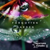 Forgotten Garden - Single