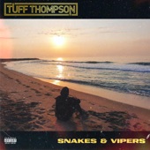 Snakes & Vipers (Instrumental W Backups & Chorus) artwork