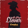 Me Dejé Llevar - Single